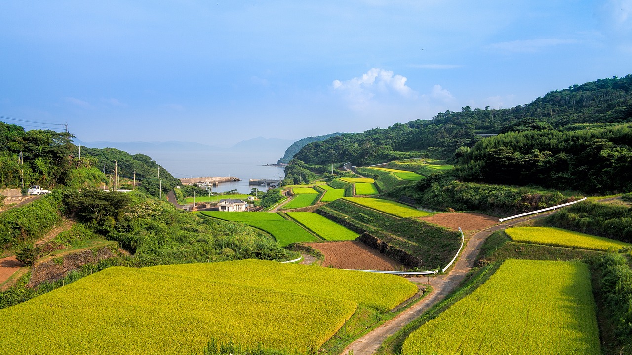 昭通青岗岭乡发展与变迁的最新消息揭秘