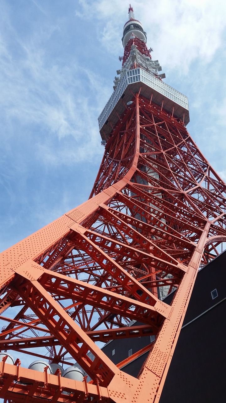 赤峰谷子最新报价及动态分析